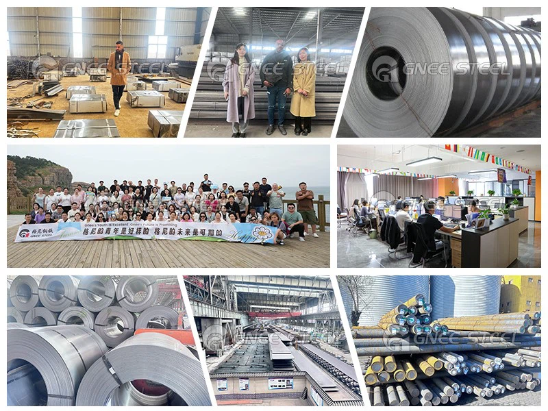 Grain oriented silicon steel Grain oriented silicon steel